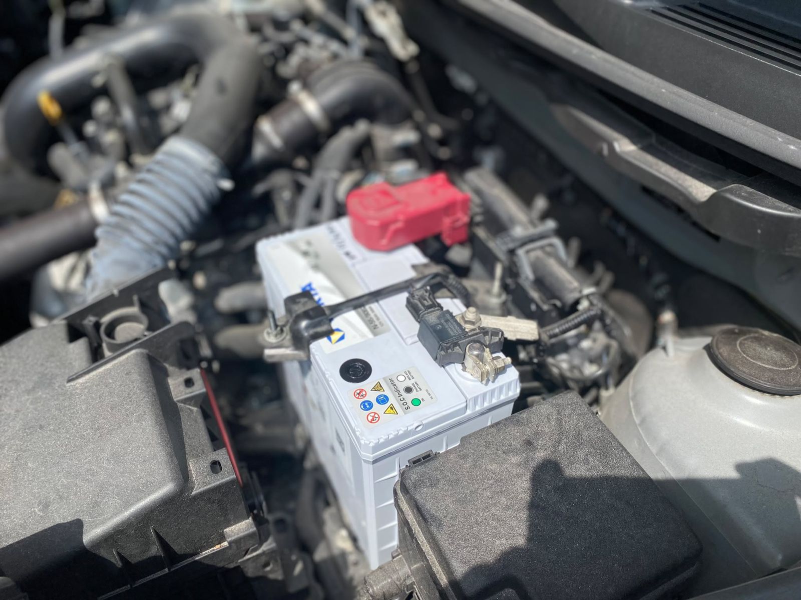 whatsapp image 2025 01 05 at 15.15.07 fafaf1bc.jpg